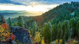 Выживание На Севере В Сердце Тайги_ История, О Которой Не Говорят