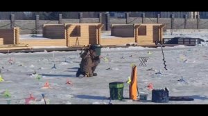 Поимки форели