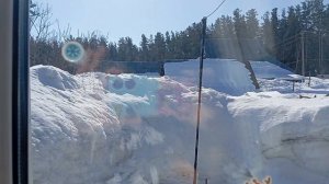 Мы с Леонардиком готовим сосиски в тесте😂💯