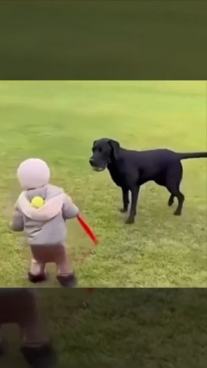 В обмане главное не обмануть себя 😁

Убойный юмор