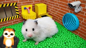 Мультики про хомяка побег из черепашей ловушки