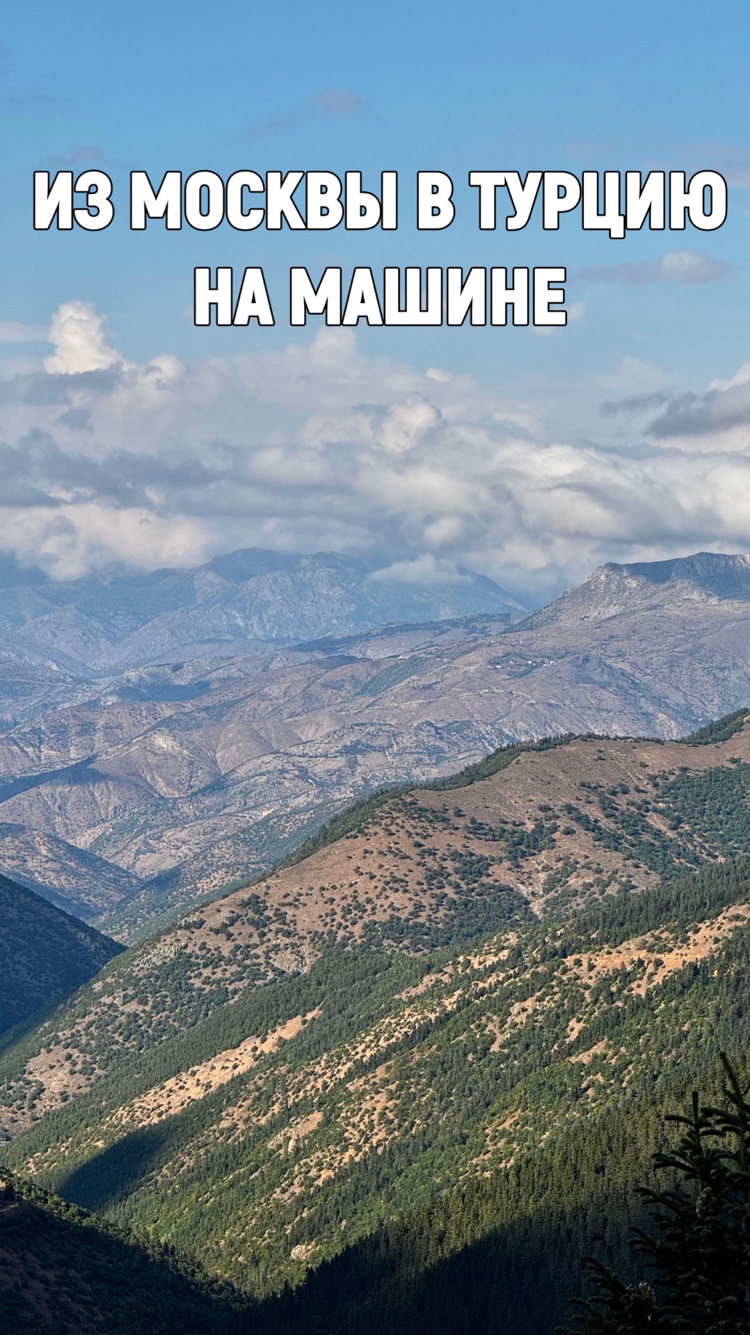 ОДНА С СОБАКОЙ В ТУРЦИЮ НА МАШИНЕ 🐶🚗