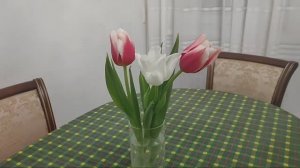 Восьмое марта продолжается,от мужа подарок! У подруги в гостях!!!