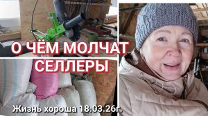 О ЧЁМ МОЛЧАТ СЕЛЛЕРЫ _ СТАЛА ПРОДАВЦОМ НА ОЗОН _ ЖИЗНЬ В ДЕРЕВНЕ 18.03.26г.