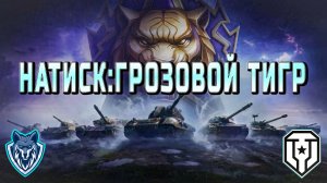 Натиск. Путь к чемпиону. А пока только золото #леста #миртанков #натиск