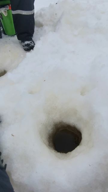 Шикарная плотва.