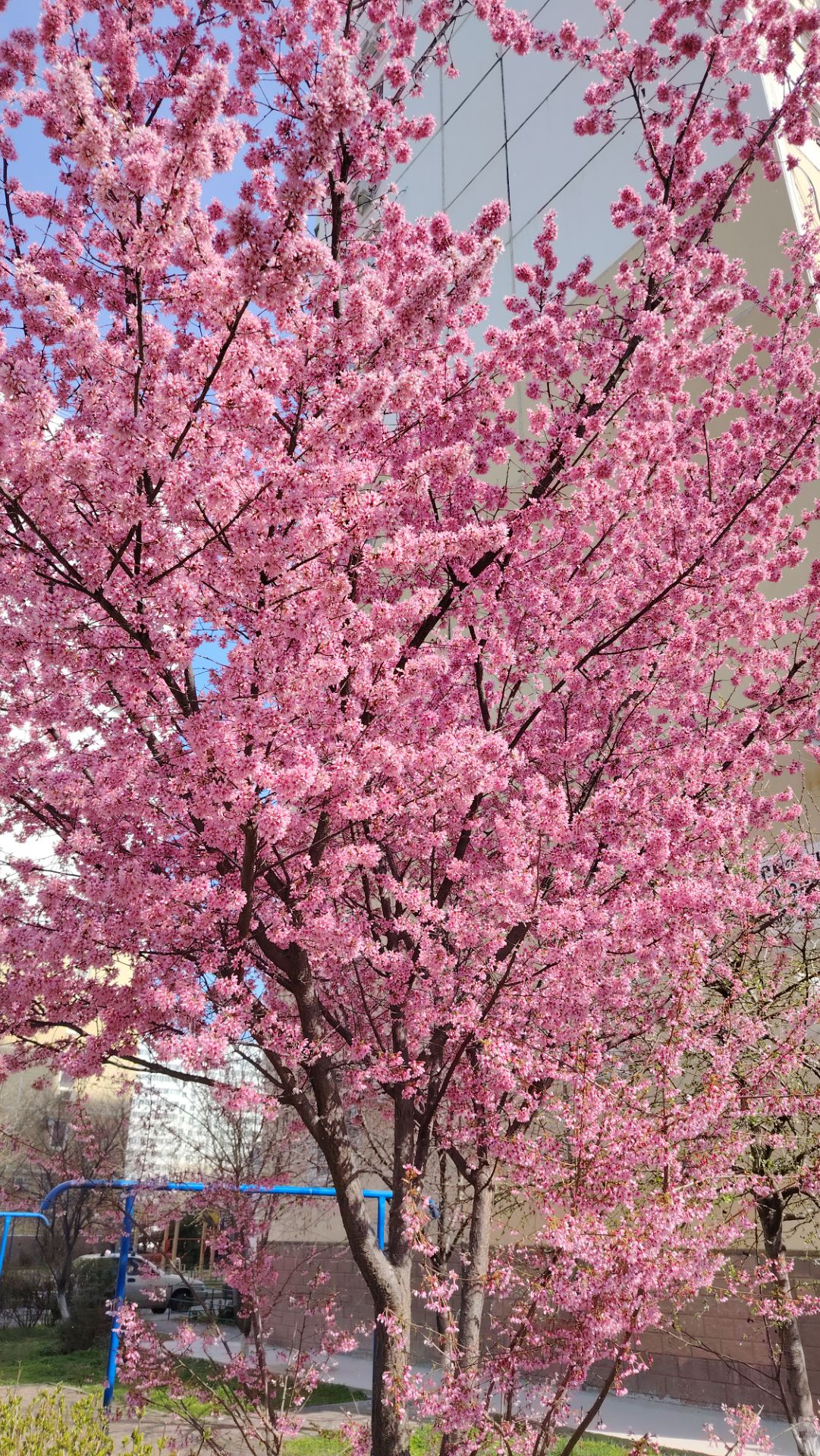 Наконец то вернулась весна!!!
