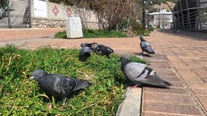 Крым сегодня. Новый Свет. Что происходит на главном курорте Крыма Сегодня?!