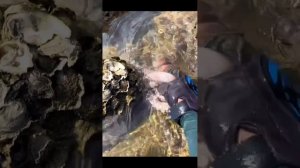 Рыбалка без удочки 🙃