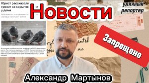Запретили кормить голубей у дома. Будут штрафовать. Уличный репортер Александр М. Блогеры Уфы