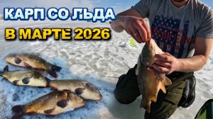 РЫБАЛКА НА КАРПА В МАРТЕ 2026!!ЛОВЛЯ КАРПА НА МОРМЫШКУ!!#карп #мормышка #поклёвка