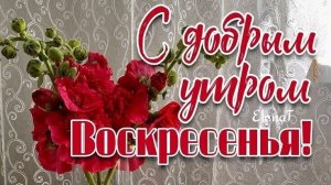 Доброе воскресное утро. Красивая музыкальная открытка.