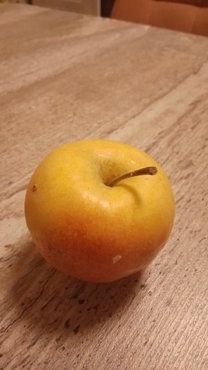 Он что то заподозрил