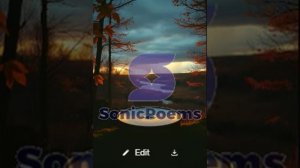 Сергей Есенин — Буря (вар1)