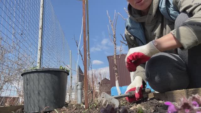 Весна пришла / Обрабатываю сад / Кототерапия / Прополка травы