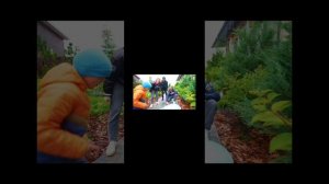 соня на связи