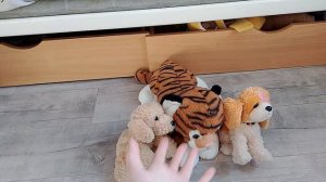 Видосики #shorts