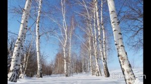 Волшебница в белом