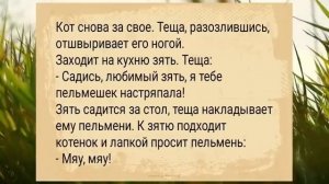 Подождем_когда_нас_поимеют_АНЕКДОТЫ_ДЛЯ_ВЗРОСЛЫХ_#анекдоты_#сборниканекдотов