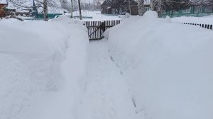 У нас ещё так, а у вас? Снеговой туннель, снег идёт и сыплется, зима ещё хлопочет и уходить не хочет