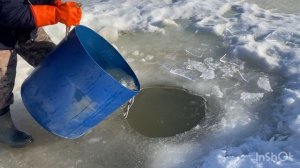 Пополняем акваторию