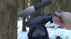 Прогулка с Лосём