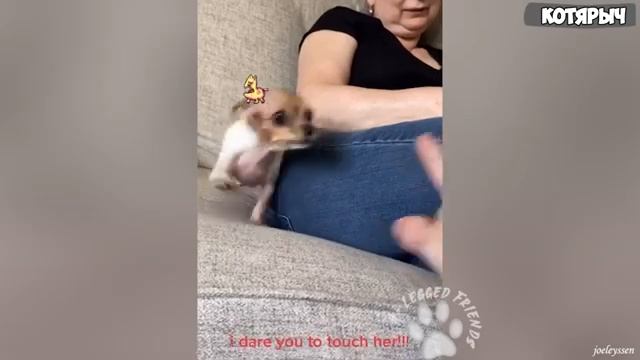 НИКОГДА_НЕ_ПОКАЗЫВАЙ_ИМ_СРЕДНИЙ_ПАЛЕЦ!_❌