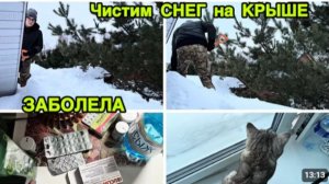 2288 Даня ЗАЛЕЗ на КРЫШУ и УБИРАЕТ СНЕГ\Я ЗАБОЛЕЛА СИЛЬНО влог
