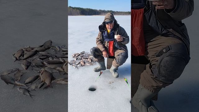 22 марта закрытие сезона зимней рыбалки( финал).