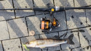 МР, набережная Шагала. Вечерний микро-джиг 18 марта 2026 года