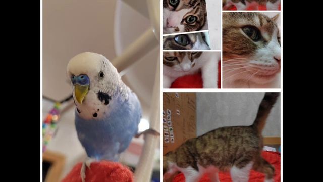 всем привет!