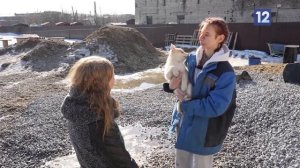 КОШАЧЬЕ ОТДЕЛЕНИЕ В ЗООЩИТЕ