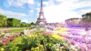 Опять проснулась не в Париже