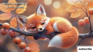 MUSIC FOR SLEEPING 1161