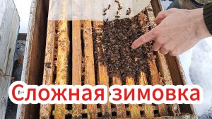 Итоги и анализ зимовки.