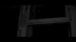 ЖЕНЩИНА С ДЛИНОЙ ШЕЕЙ.. Страшные истории на ночь.