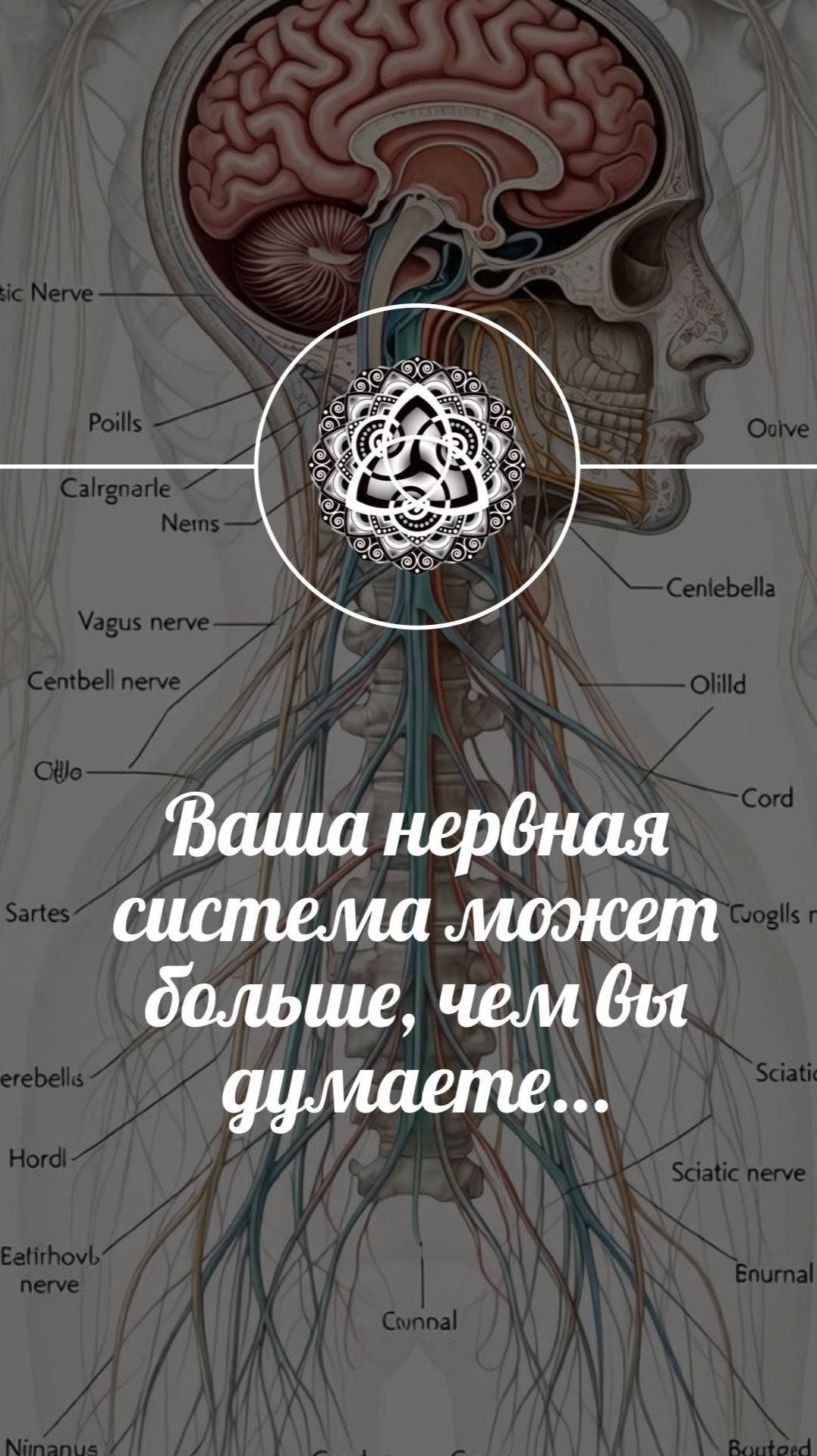 «Волна добра»