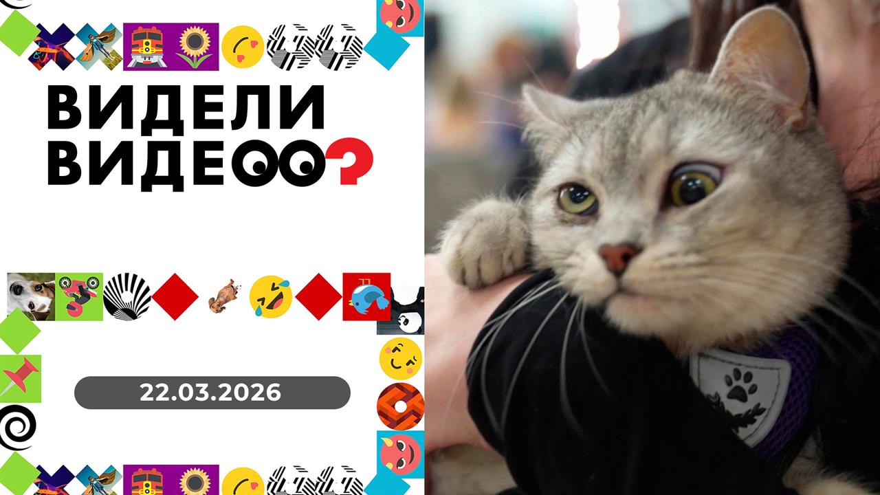 Видели видео? Выпуск от 22.03.2026