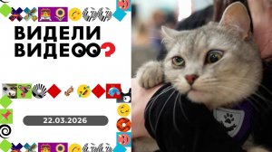 Видели видео? Выпуск от 22.03.2026