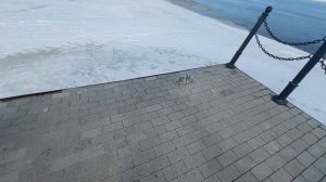 Калязин( Тверская область)