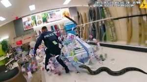 Полицейские против диких животных, камера сняла всё.