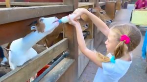 Приключения и игры Насти и папы в большом выпуске видео для детей [get.gt]