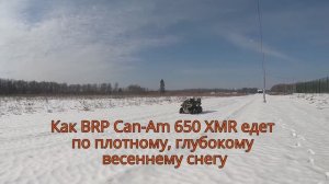 Как BRP Outlander XMR едет по глубокому снегу