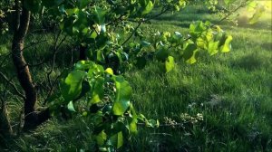 Время перемен - Что важно сделать 23 марта.