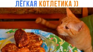 Тренировка чемпиона по ЛЁГКОЙ КОТЛЕТИКЕ ))) Приколы | Мемозг 1734