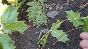 22 марта 2026год