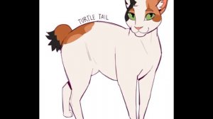 угадайте кота 3/??