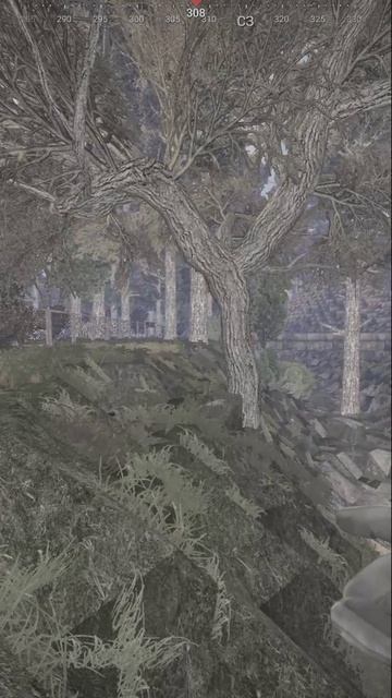 ПРИКИНУЛСЯ КУСТОМ.СТАЛКЕР ПРИНИМАЕТ ВЫНОСЫ