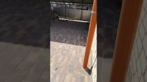 Дима и Надя положили плитку во дворе