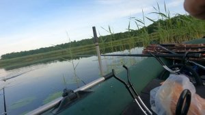 уже скоро карась